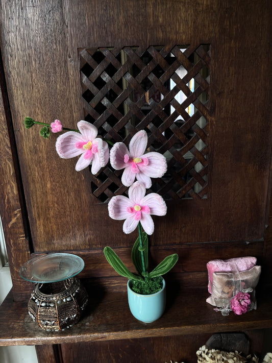Pot orchidée