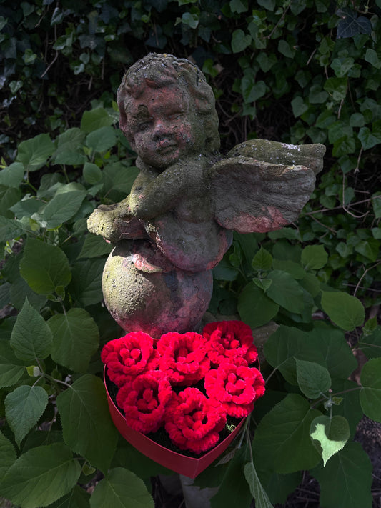 Boîte cœur roses
