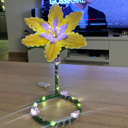 Précommande - Fleur de Raiponce