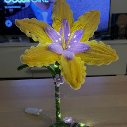 Précommande - Fleur de Raiponce